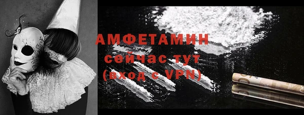 винт Горняк